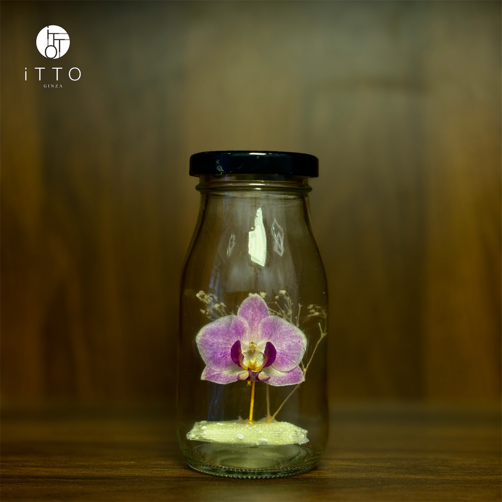  Chai lọ hoa khô - BOT05 