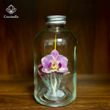  Chai lọ hoa khô - BOT01 