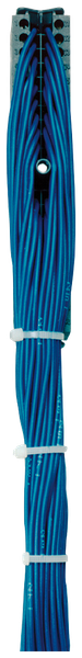 6ES7922-3BF00-5AC0 Đầu nối phía trước 40 cực với 40 lõi đơn H05V-K f. SIMATIC S7-300 L=5,0m PU=5 Siemens
