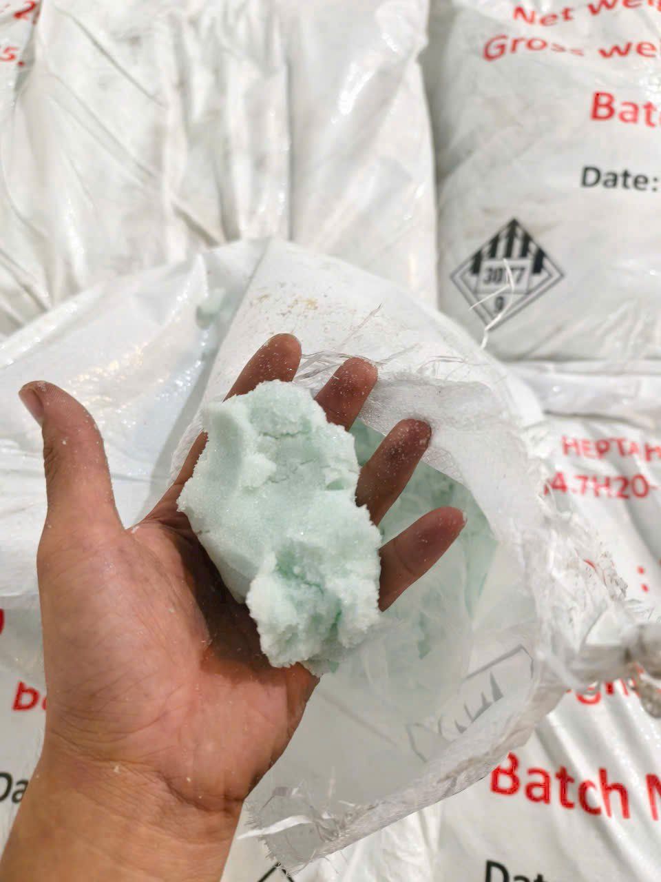  KẼM SULFATE (ZnSO4.7H2O) 