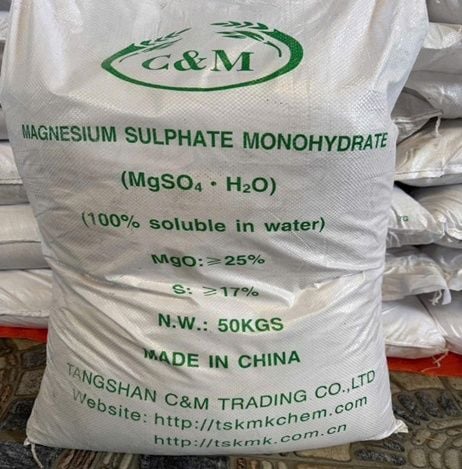  MAGNESIUM SULFAT MONOHYDRATE (MgSO4.H2O) 