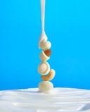  Queenam Yogurt Chocolate 