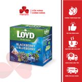 Trà Loyd - Trà trái cây 34g - 40g