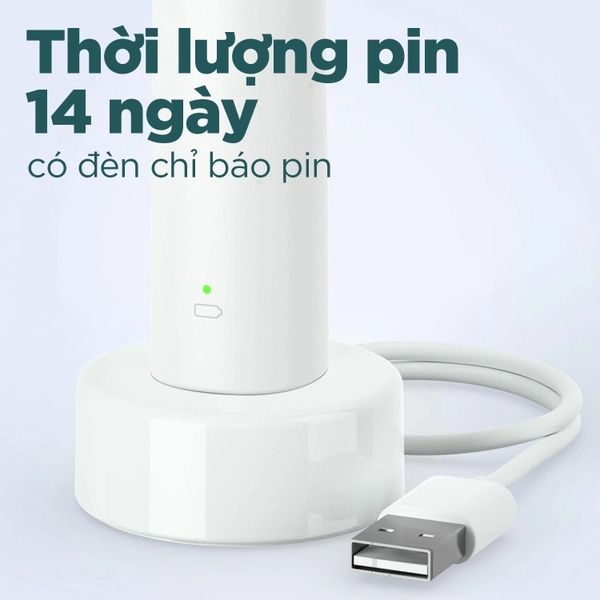 Bàn chải đánh răng Philips Sonicare 1100