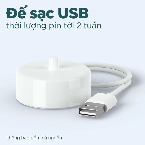 Bàn chải đánh răng Philips Sonicare 1100