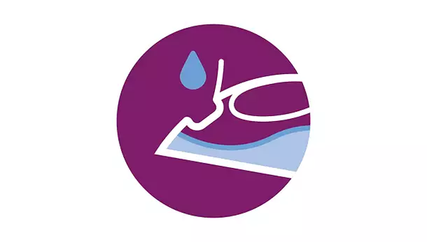 BÀN ỦI HƠI NƯỚC PHILIPS SERIES 2000 DST2030/90