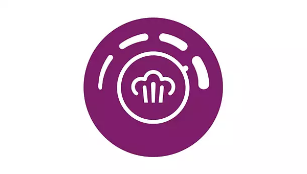 BÀN ỦI HƠI NƯỚC PHILIPS SERIES 2000 DST2030/90