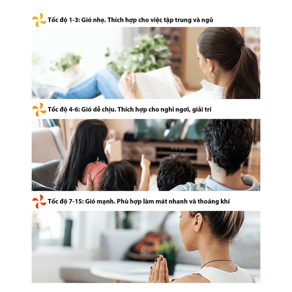 Quạt tuần hoàn Toshiba F-DSC40XVN(W)