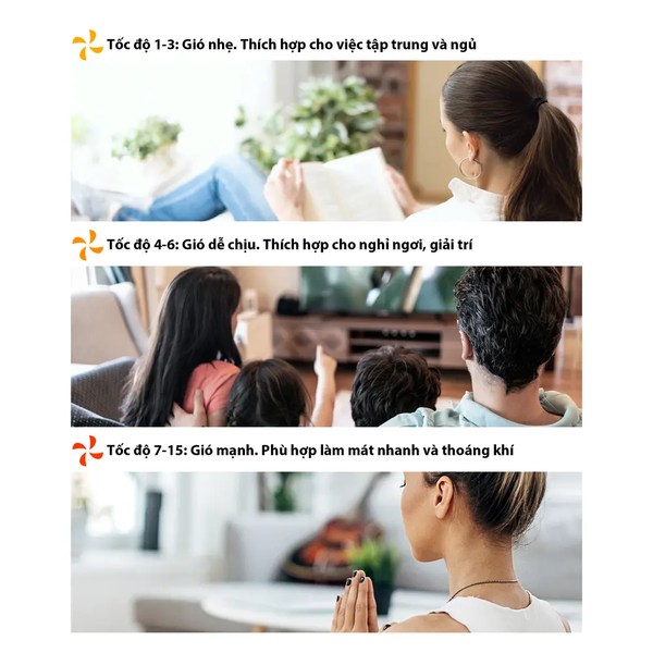 Quạt tuần hoàn Toshiba F-DSC70XVN(W)