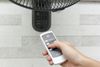 Quạt treo tường KDK M40M