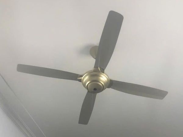 Quạt trần KDK M56XR