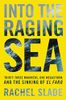  Into the Raging Sea 