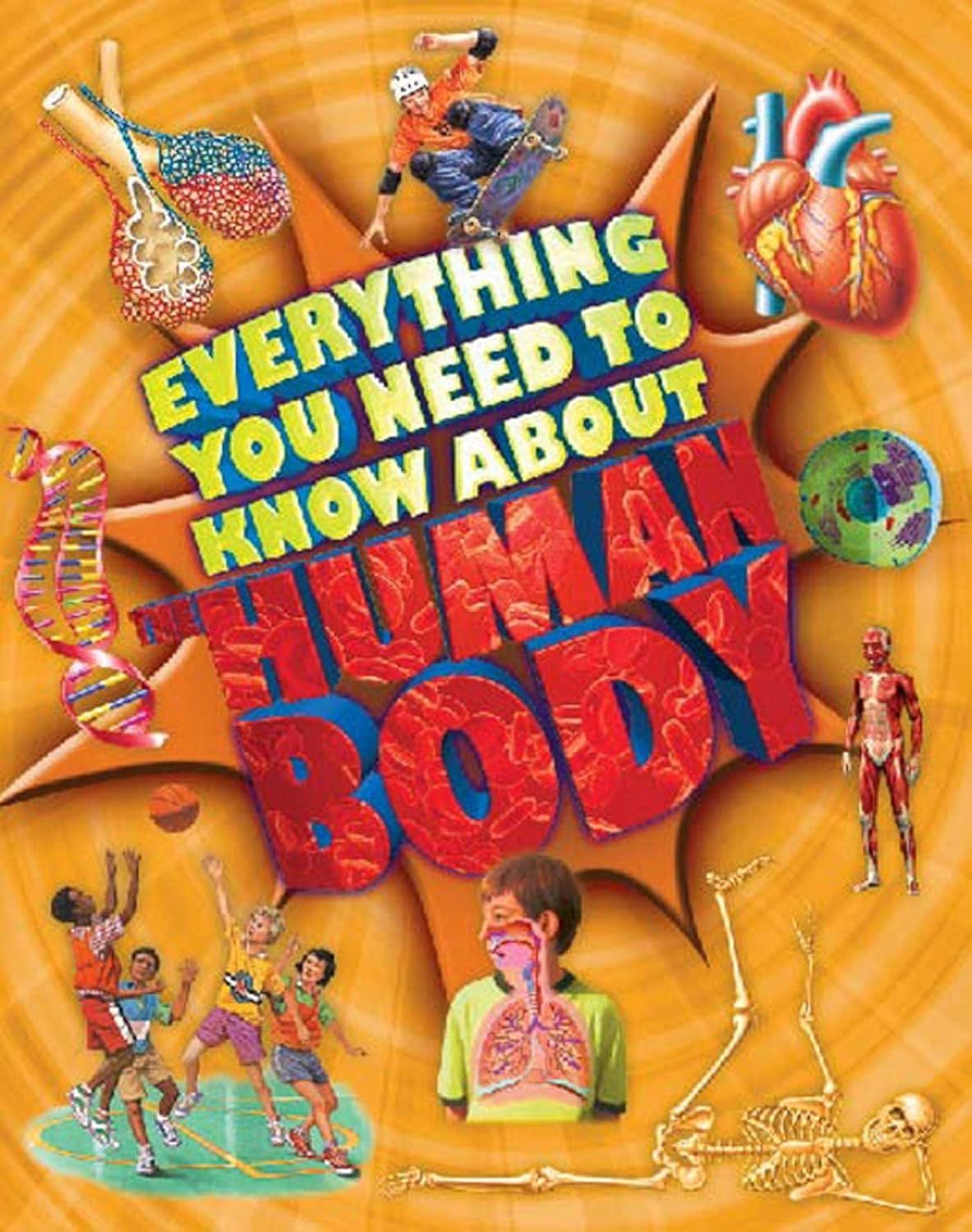  Everything You Need To Know About: The Human Body 
