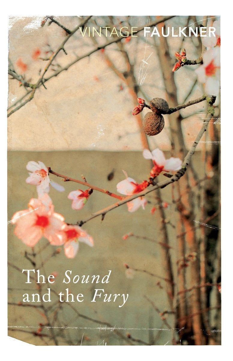  The Sound and the Fury 