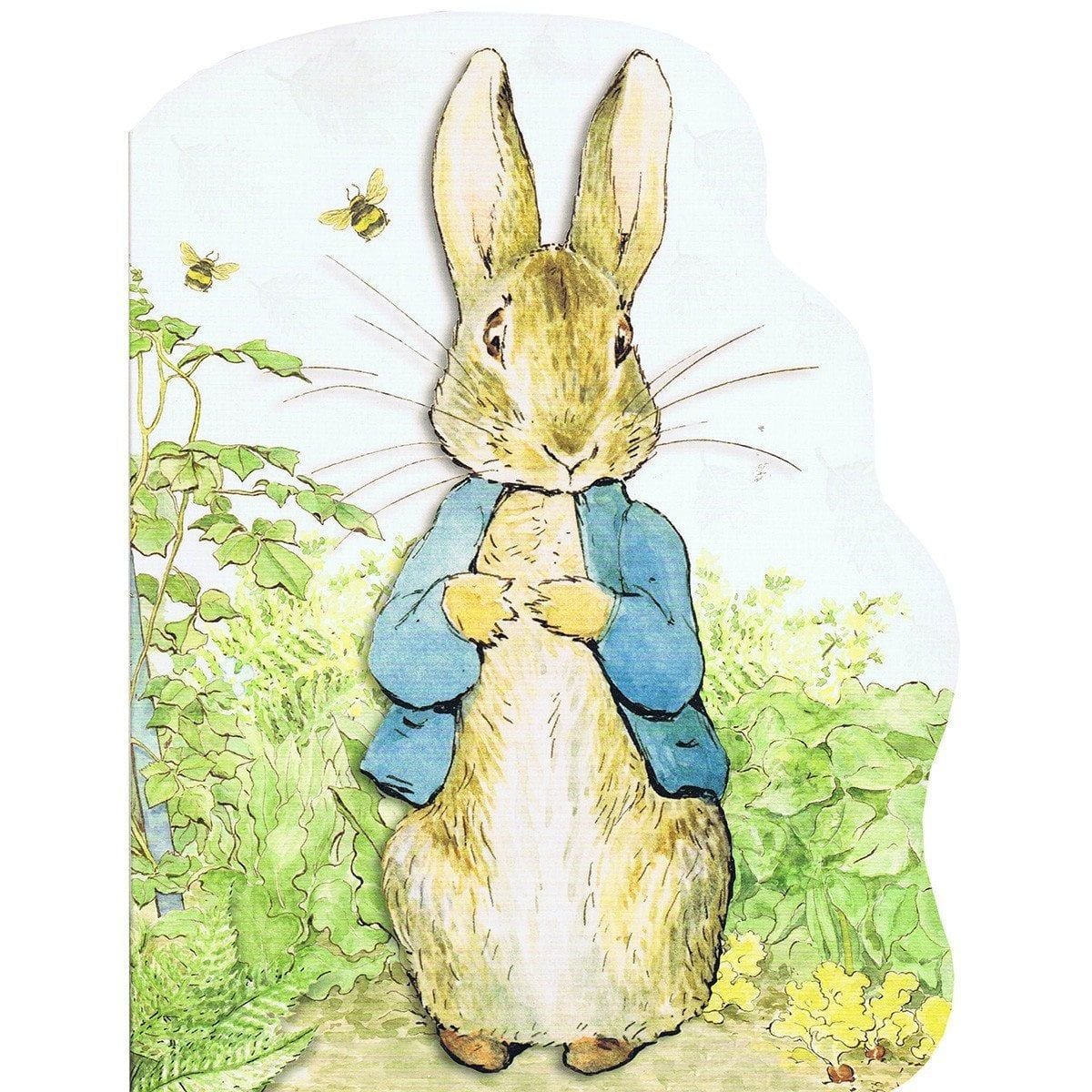  Peter Rabbit Large Board Book 