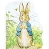 Peter Rabbit Large Board Book