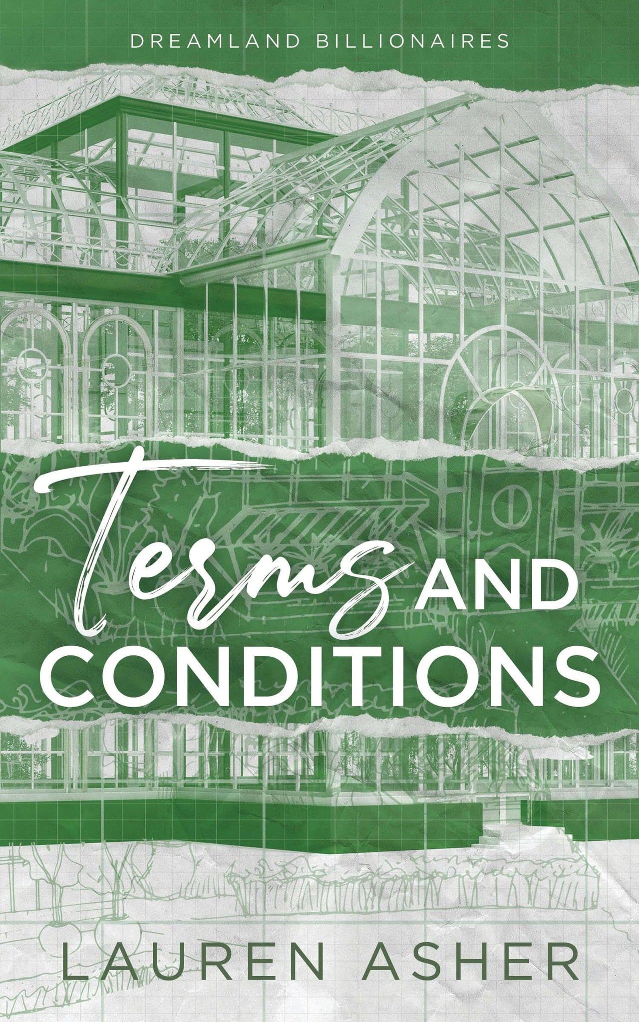  Terms and Conditions (Dreamland Billionaires Series #2) 