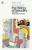 The History of Sexuality 3: The Care of the Self