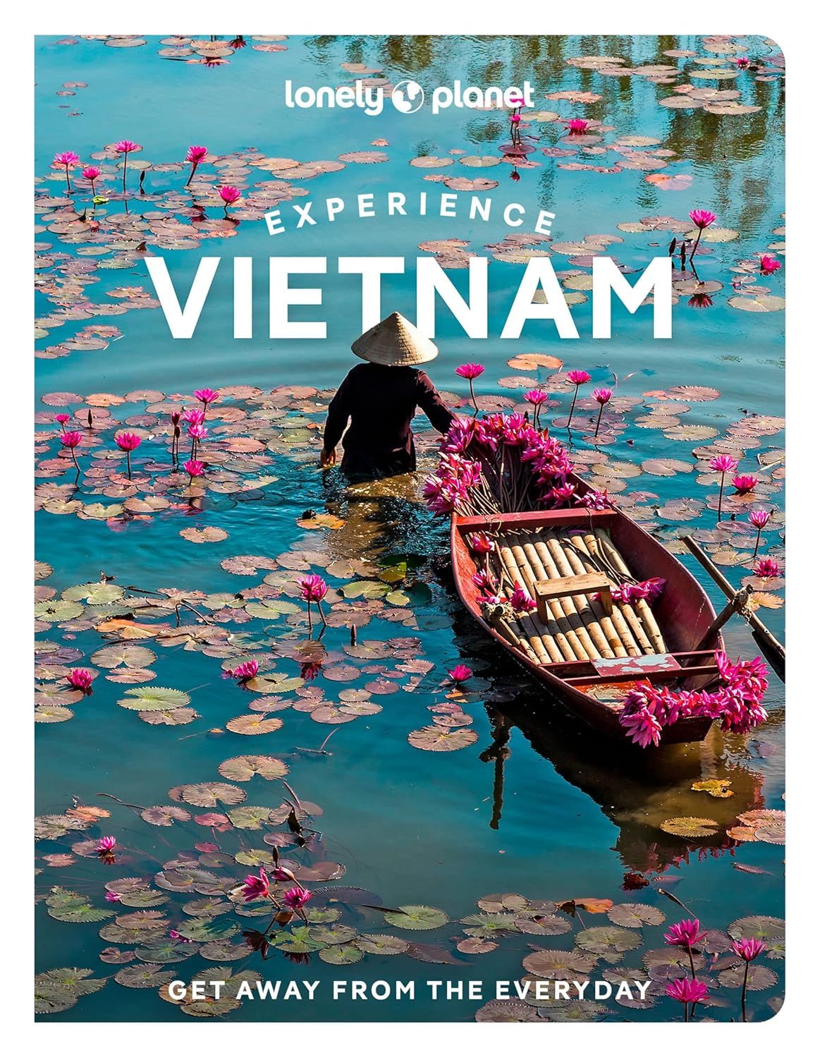  Lonely Planet Experience Vietnam 