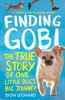  Finding Gobi 