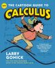  Cartoon Guide to Calculus 