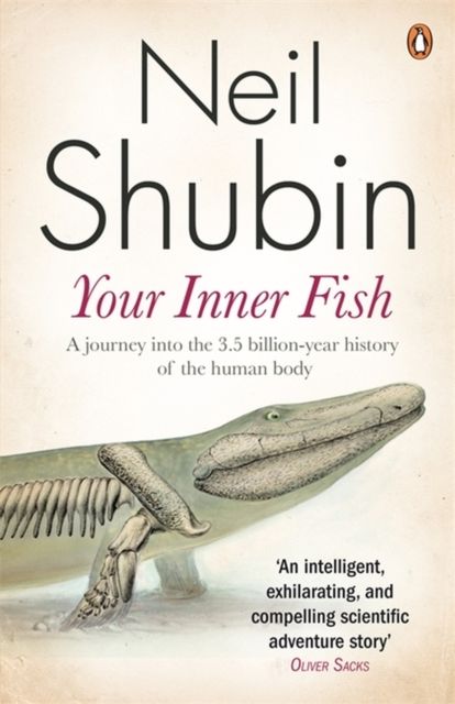  Your Inner Fish : The amazing discovery of our 375-million-year-old ancestor 