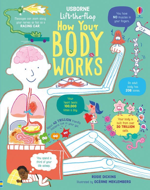  Lift-the-Flap How Your Body Works 