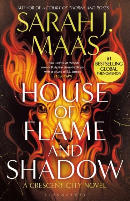  House of Flame and Shadow 