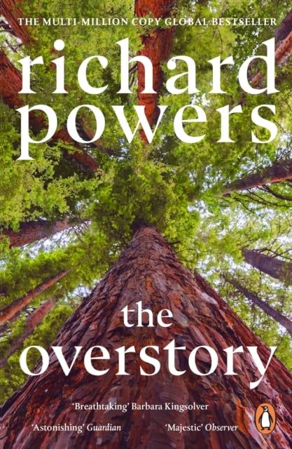  The Overstory 