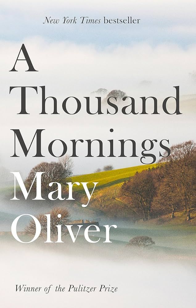  A Thousand Mornings 