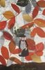 Anne of Green Gables & Anne of Avonlea
