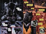  Batman: Detective Comics Vol. 4: Gotham Nocturne Intermezzo: Batman, Outlaw 