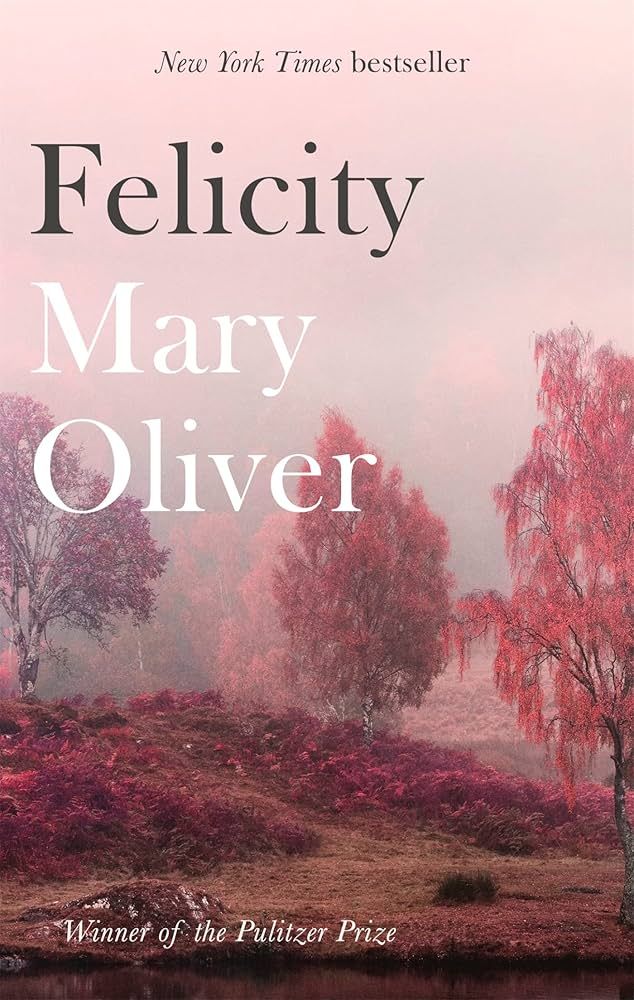  Felicity 