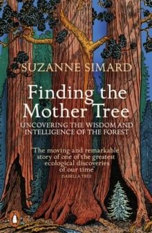  Finding The Mother Tree 