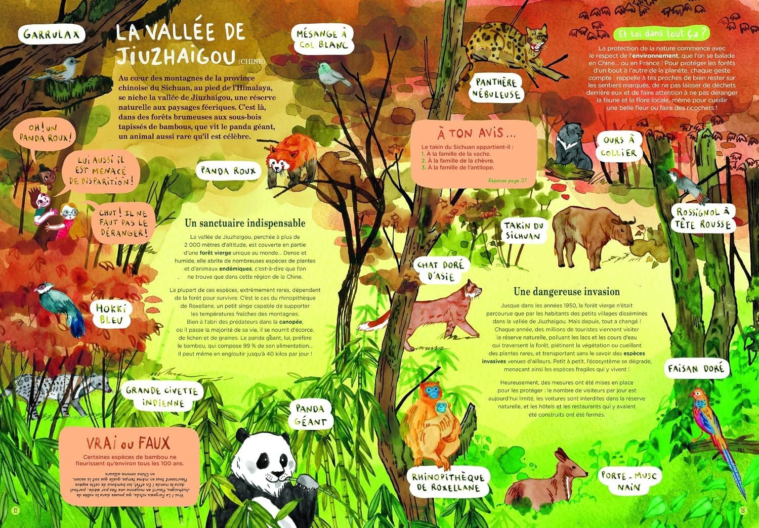  Forets - Et Comment Les Preserver ? 