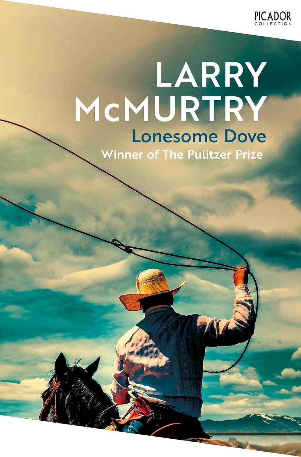  Lonesome Dove 