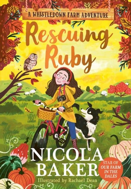  Rescuing Ruby 