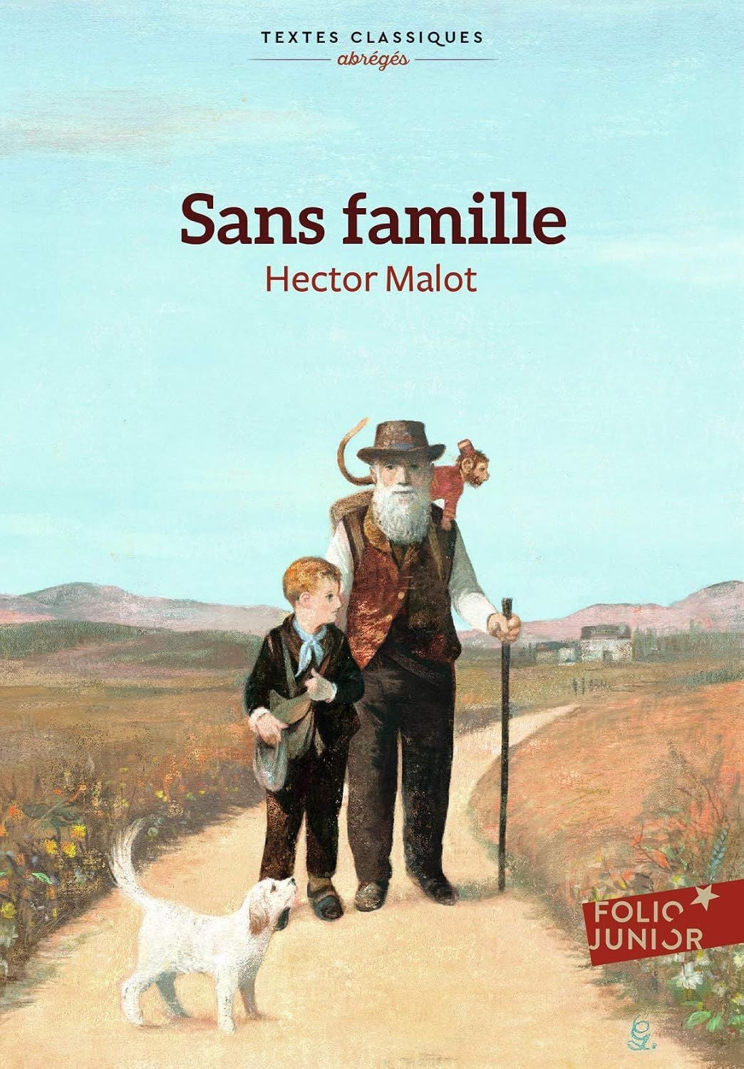  Sans Famille (Abrege) 