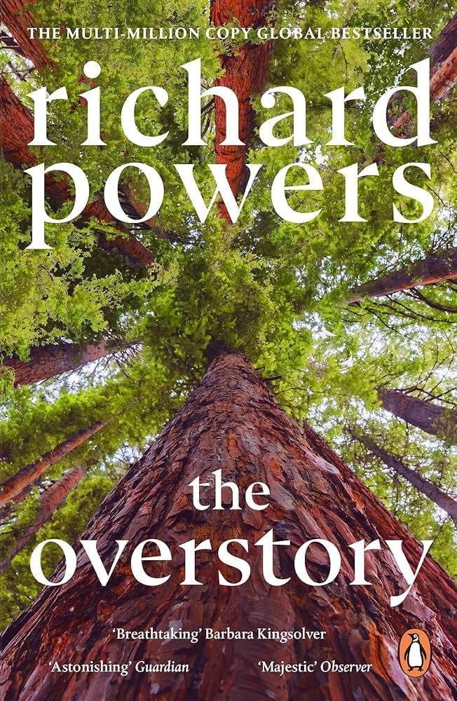  The Overstory 