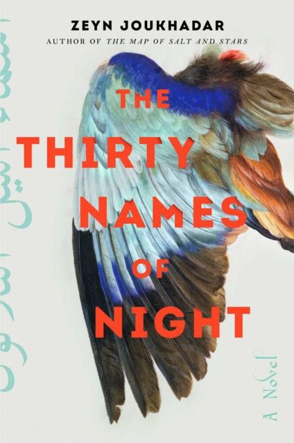  The Thirty Names of Night: A Novel 