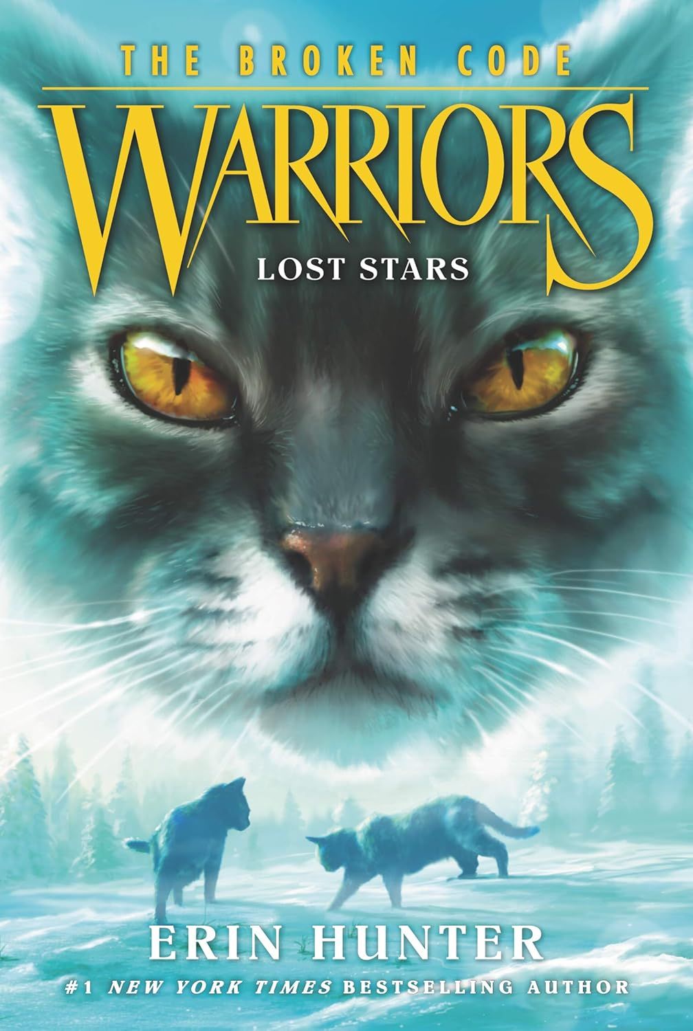  Warriors Lost Stars 