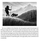  Wolf Mountain 