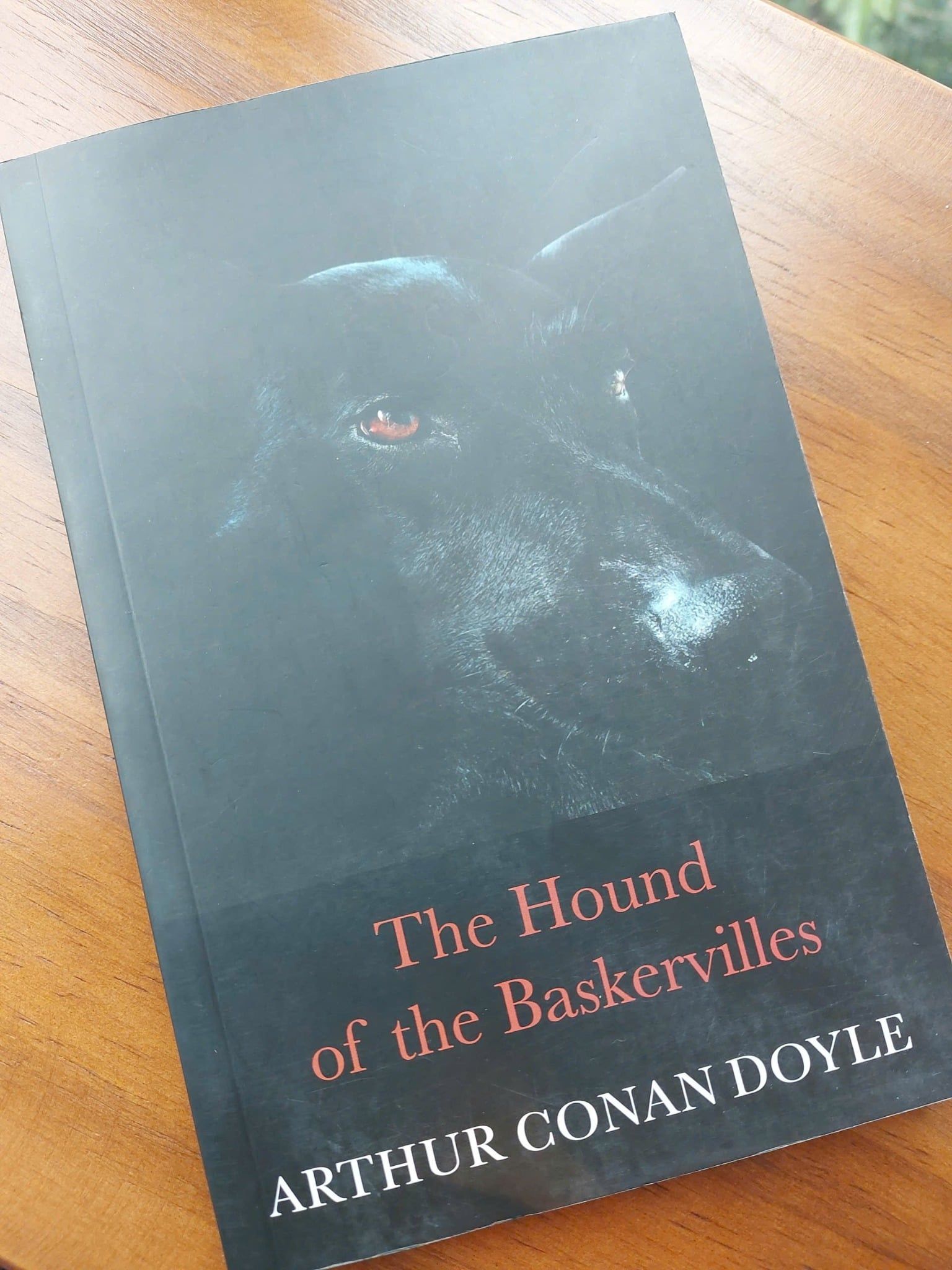  The Hound of the Baskervilles 