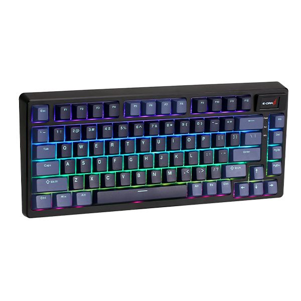 Bàn phím chơi game cơ cao cấp EDRA EK375PRO 81 phím - Beta/Alpha
