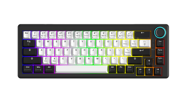 Bàn phím cơ Gaming Dareu EK65s Dream Switch - Đen trắng