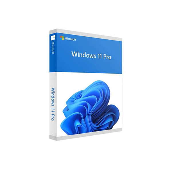 Windows 11 Pro 64-bit All Lng PK Lic Online DwnLd NR FQC-10572
