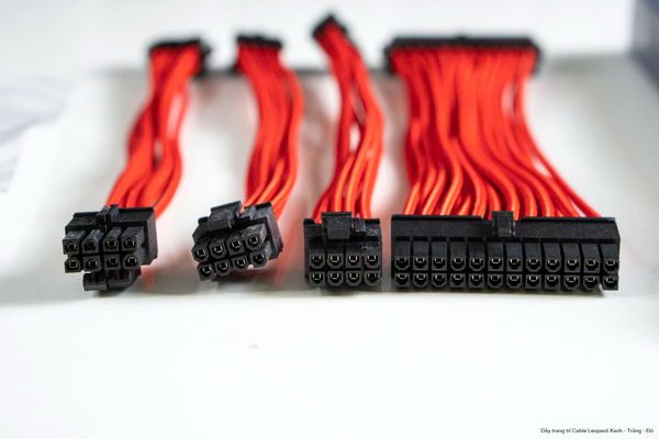 Dây nối dài trang trí module Jungle Leopard - Màu đen/trắng/xanh