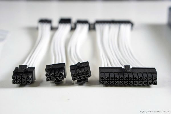 Dây nối dài trang trí module Jungle Leopard - Màu đen/trắng/xanh