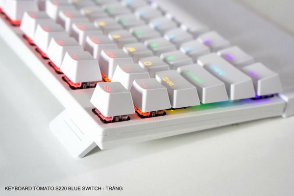 Bàn phím cơ Tomato S220 Blue Switch 104 phím 1.8m - Màu trắng