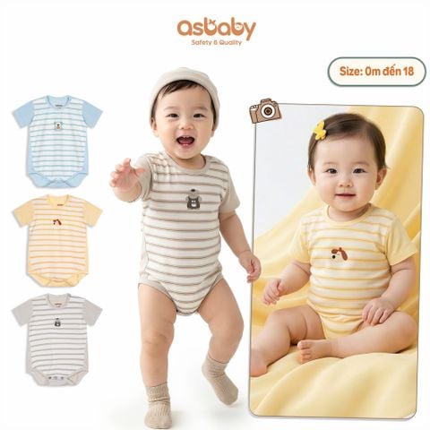 Body Chip Sọc Asbaby-AST133